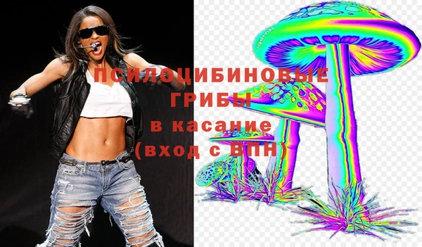 стафф Алексин