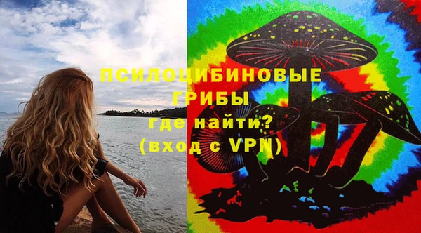 сатива Алексеевка