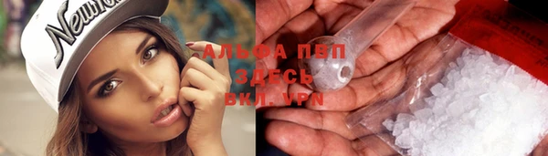 сатива Алексеевка