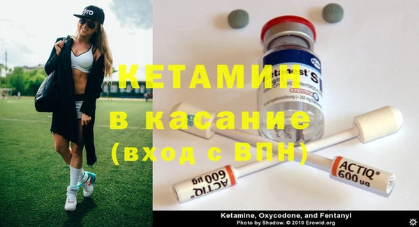 сатива Алзамай