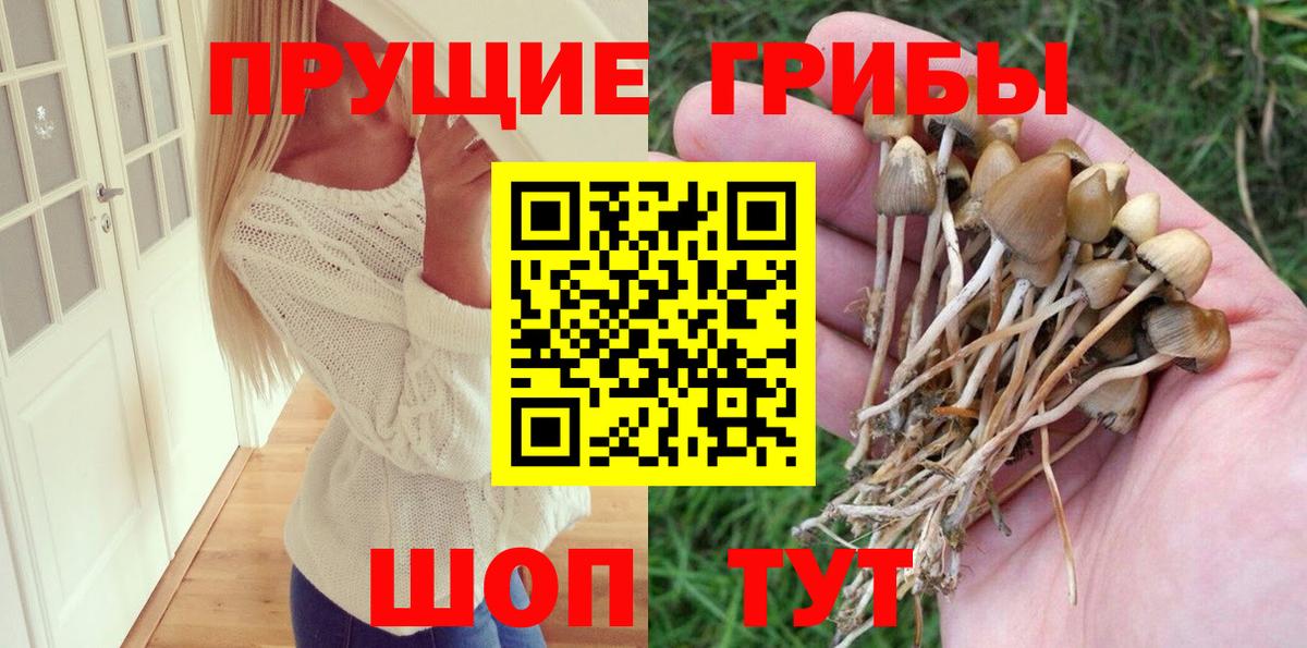 Псилоцибиновые грибы мицелий Якутск