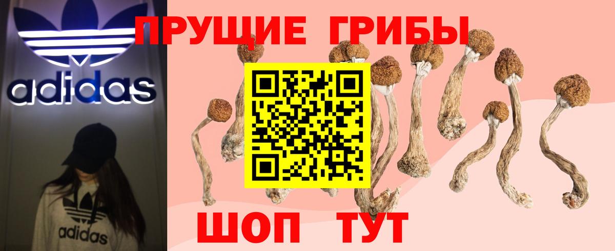 Якутск  Галлюциногенные грибы прущие грибы  Вход с VPN  Галлюциногенные грибы Psilocybe 